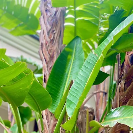 Apartment Casa Sterlizia *