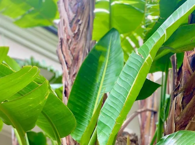 Apartment Casa Sterlizia *